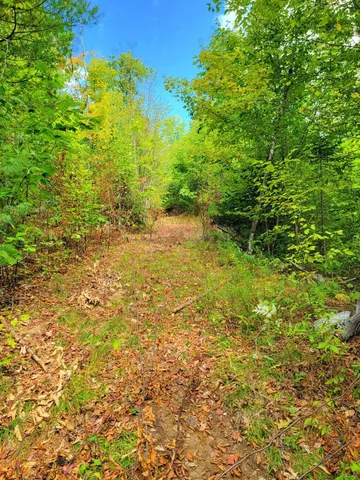 $520,000 | 15 Jackson Hole Drive, Carthage, ME 04224