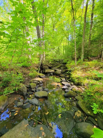 $520,000 | 15 Jackson Hole Drive, Carthage, ME 04224