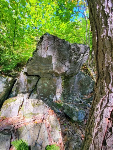 $520,000 | 15 Jackson Hole Drive, Carthage, ME 04224