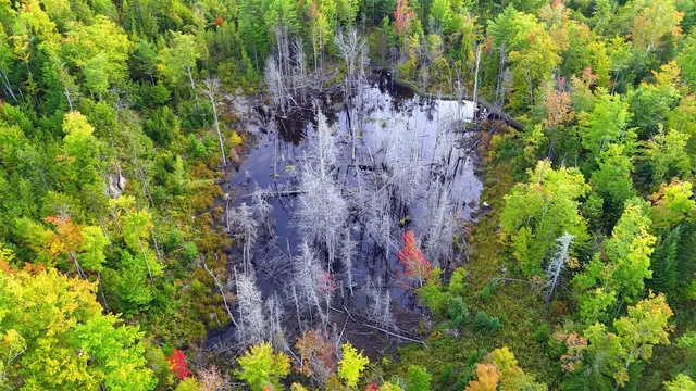 $520,000 | 15 Jackson Hole Drive, Carthage, ME 04224