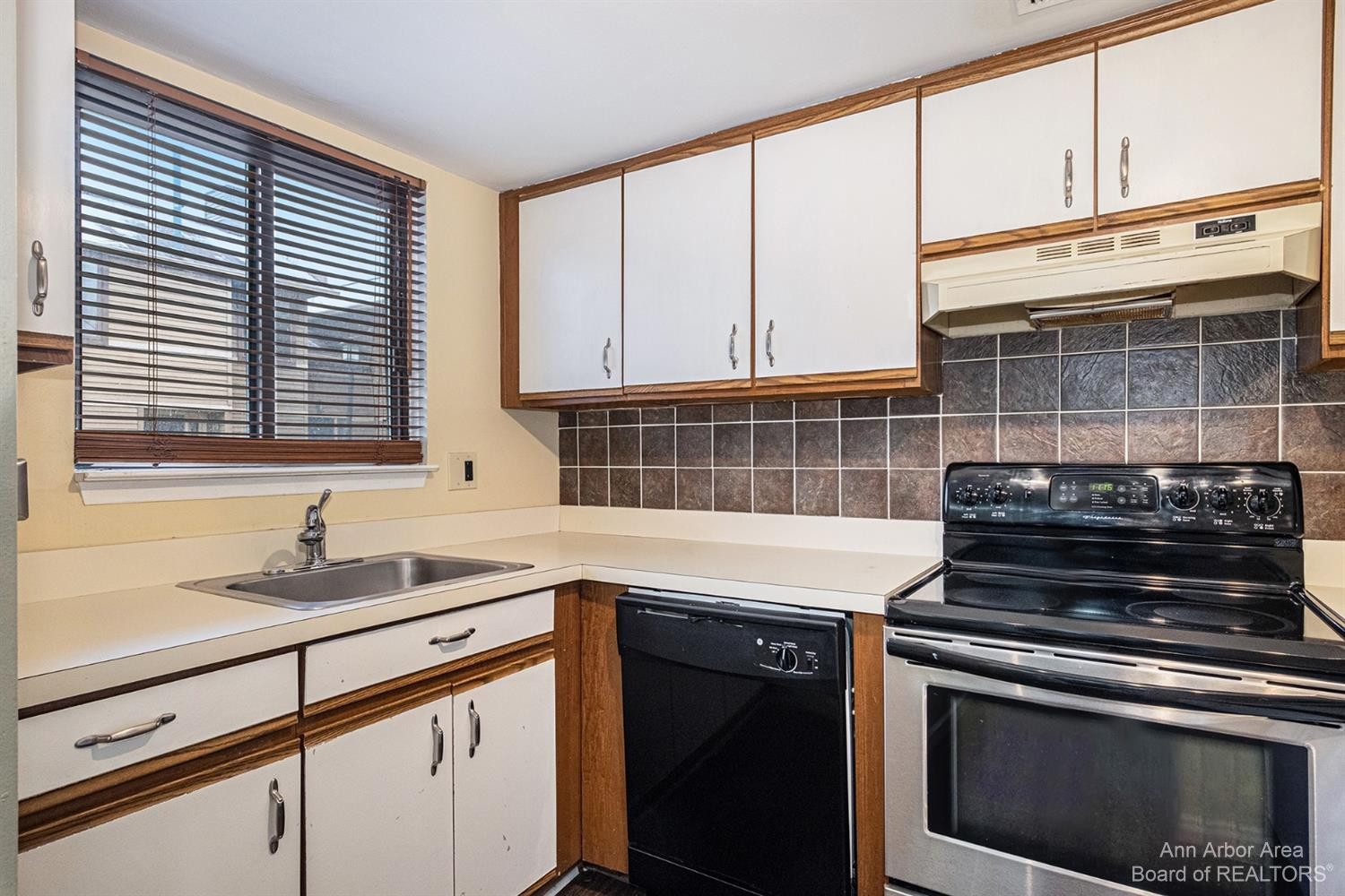 350 Briarcrest Drive, Unit 168 Ann Arbor, MI 48104 - Photo 3 of 21 Photo 3