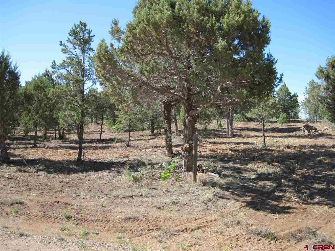 L3 Squaw Apple Road Durango, CO 81301 - Photo 2 of 18 Gallery Image 2