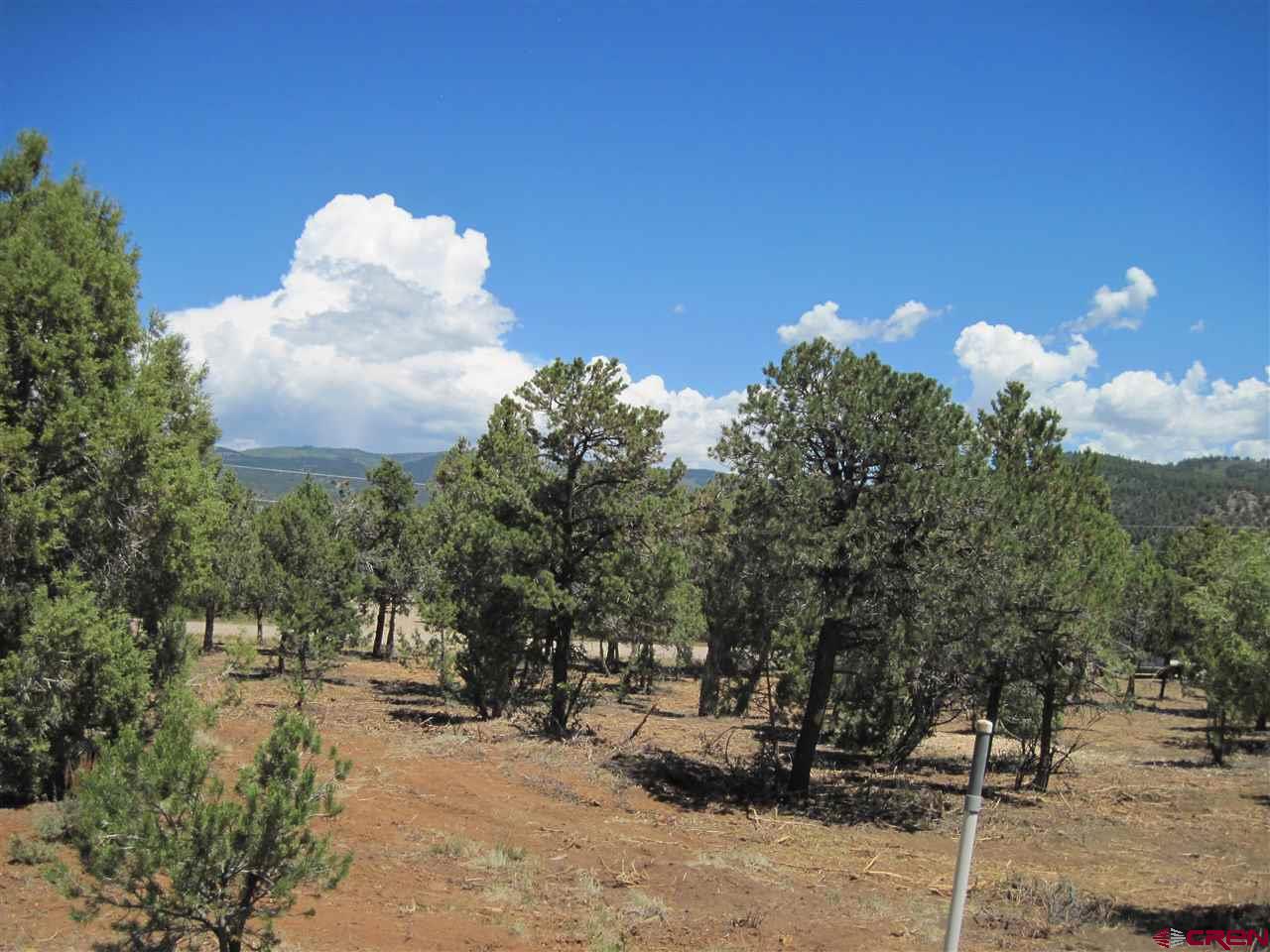 L3 Squaw Apple Road Durango, CO 81301 - Photo 14 of 18 Gallery Image 14