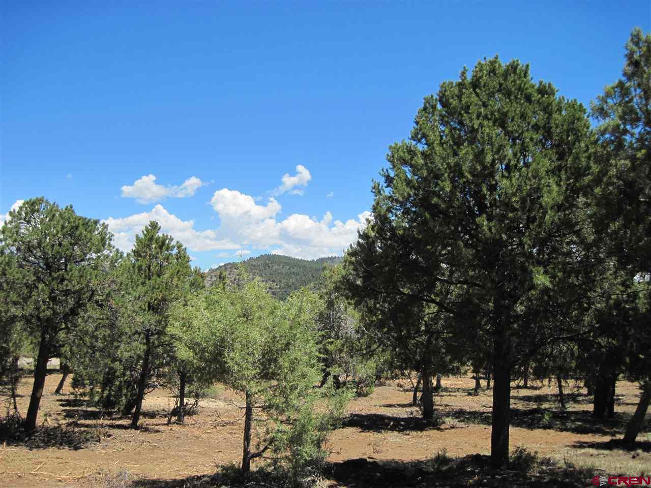 L3 Squaw Apple Road Durango, CO 81301 - Photo 15 of 18 Gallery Image 15