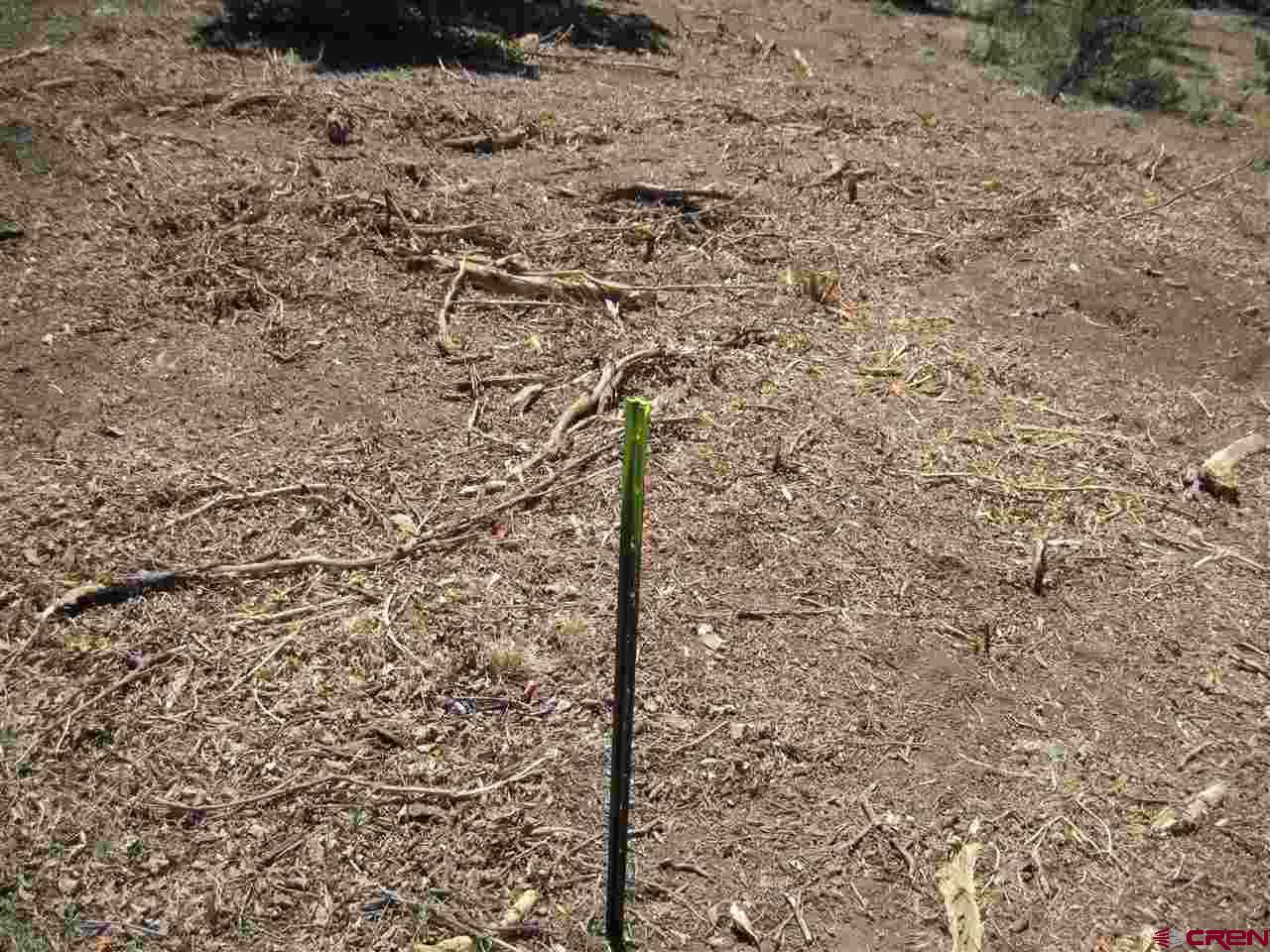 L3 Squaw Apple Road Durango, CO 81301 - Photo 16 of 18 Gallery Image 16