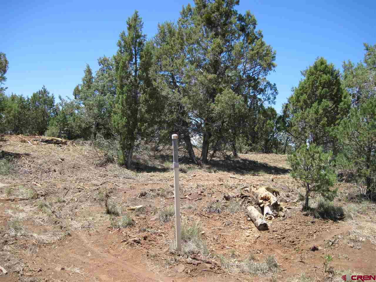 L3 Squaw Apple Road Durango, CO 81301 - Photo 3 of 18 Gallery Image 3