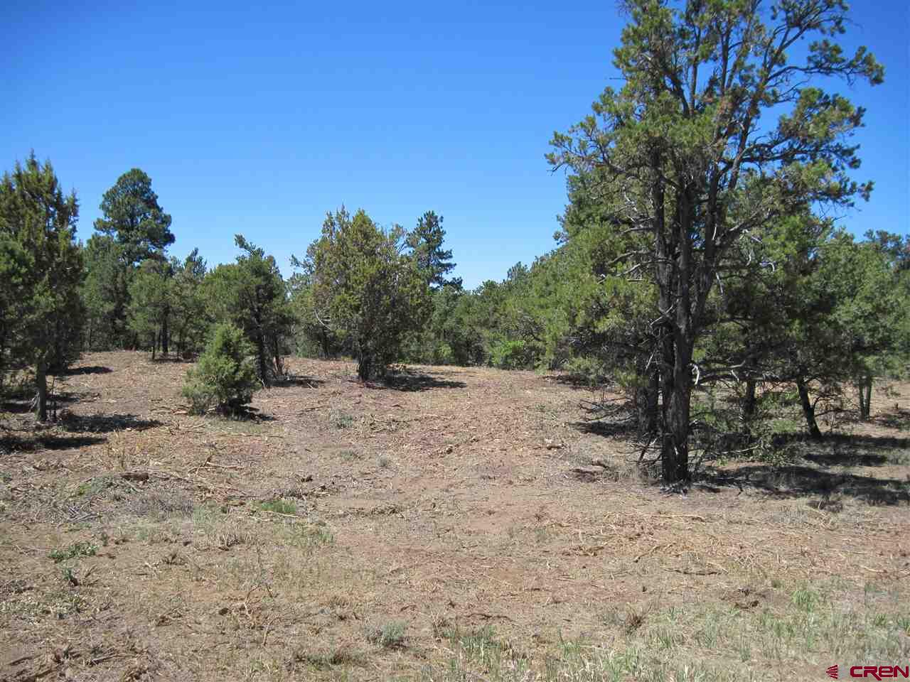L3 Squaw Apple Road Durango, CO 81301 - Photo 6 of 18 Gallery Image 6