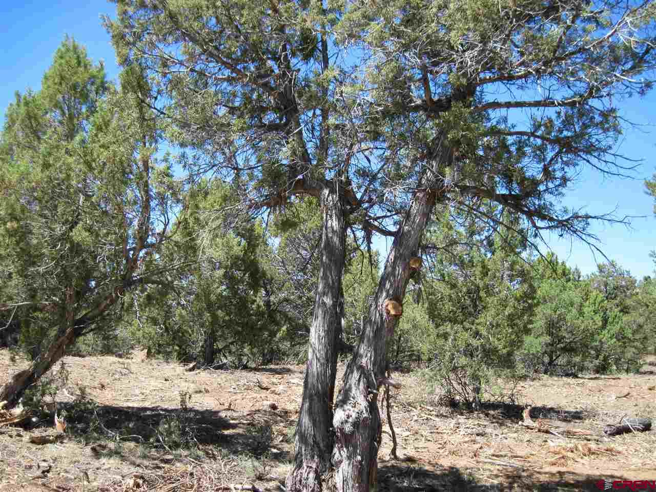 L3 Squaw Apple Road Durango, CO 81301 - Photo 8 of 18 Gallery Image 8