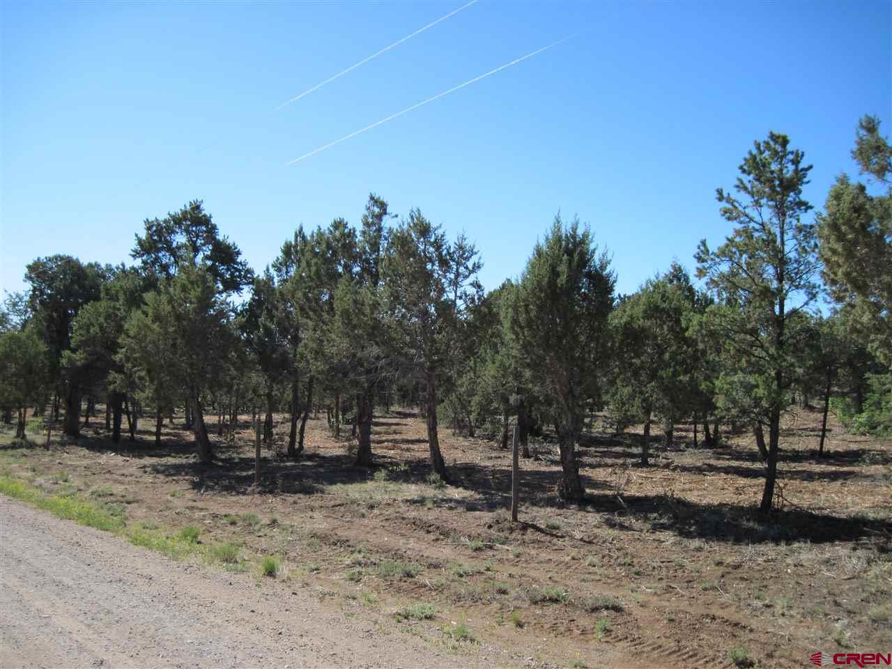 L3 Squaw Apple Road Durango, CO 81301 - Photo 10 of 18 Gallery Image 10