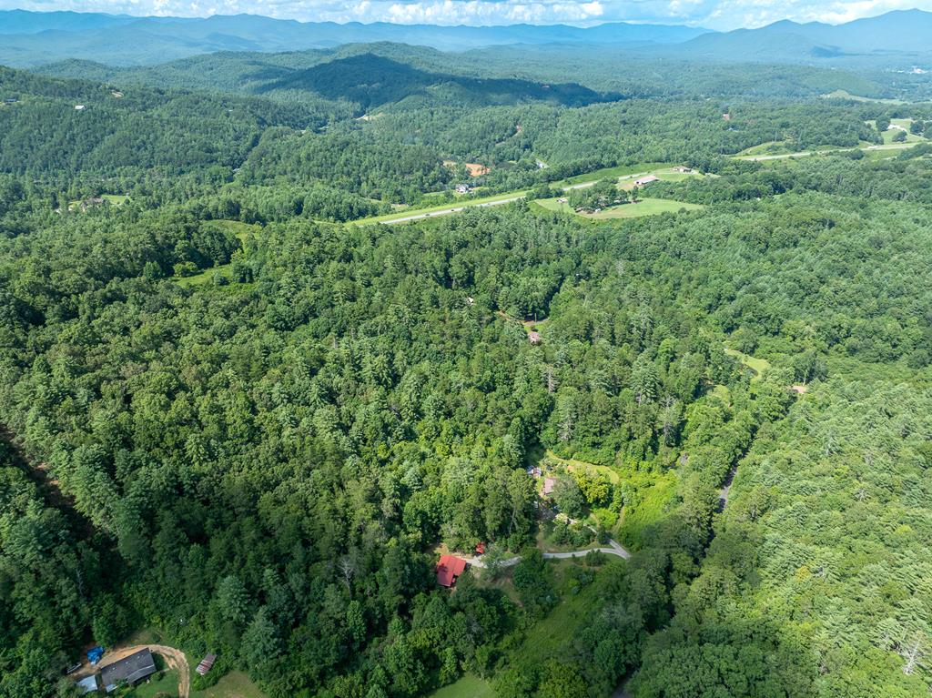 495 Midway Creek Road Murphy, NC 28906 - Photo 36 of 38 a view of a lush green forest with lots of trees