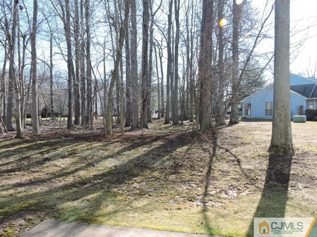 606 Timber Oaks Road Edison, NJ 08820 - Photo 14 of 14 a view of outdoor space with trees