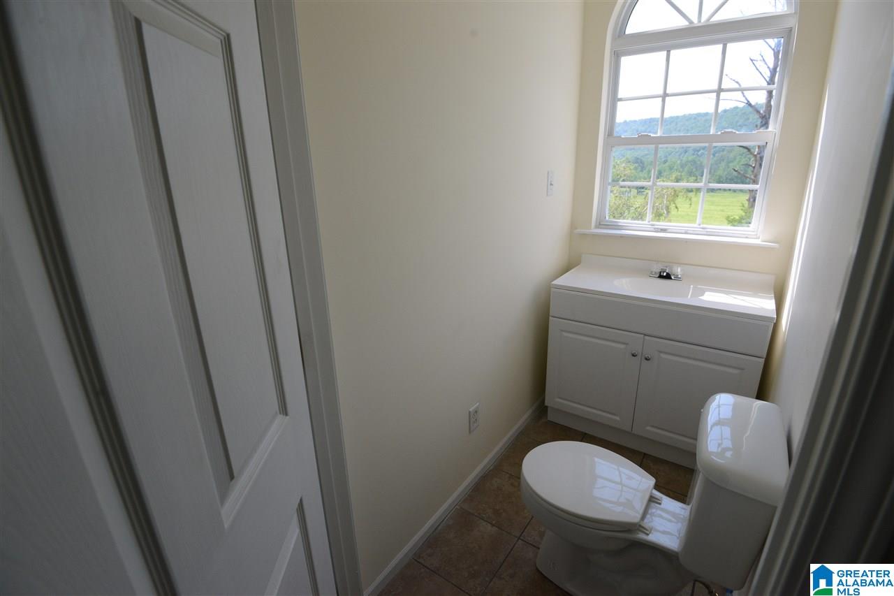 2762 Highway 42 Oneonta, AL 35121 - Photo 8 of 44