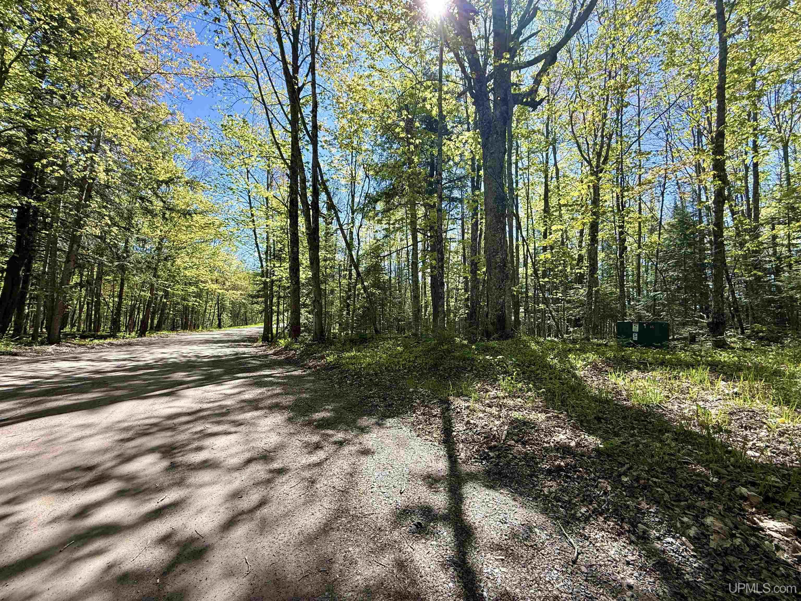 Langford Lake Road Watersmeet, MI 49969 - Photo 22 of 23