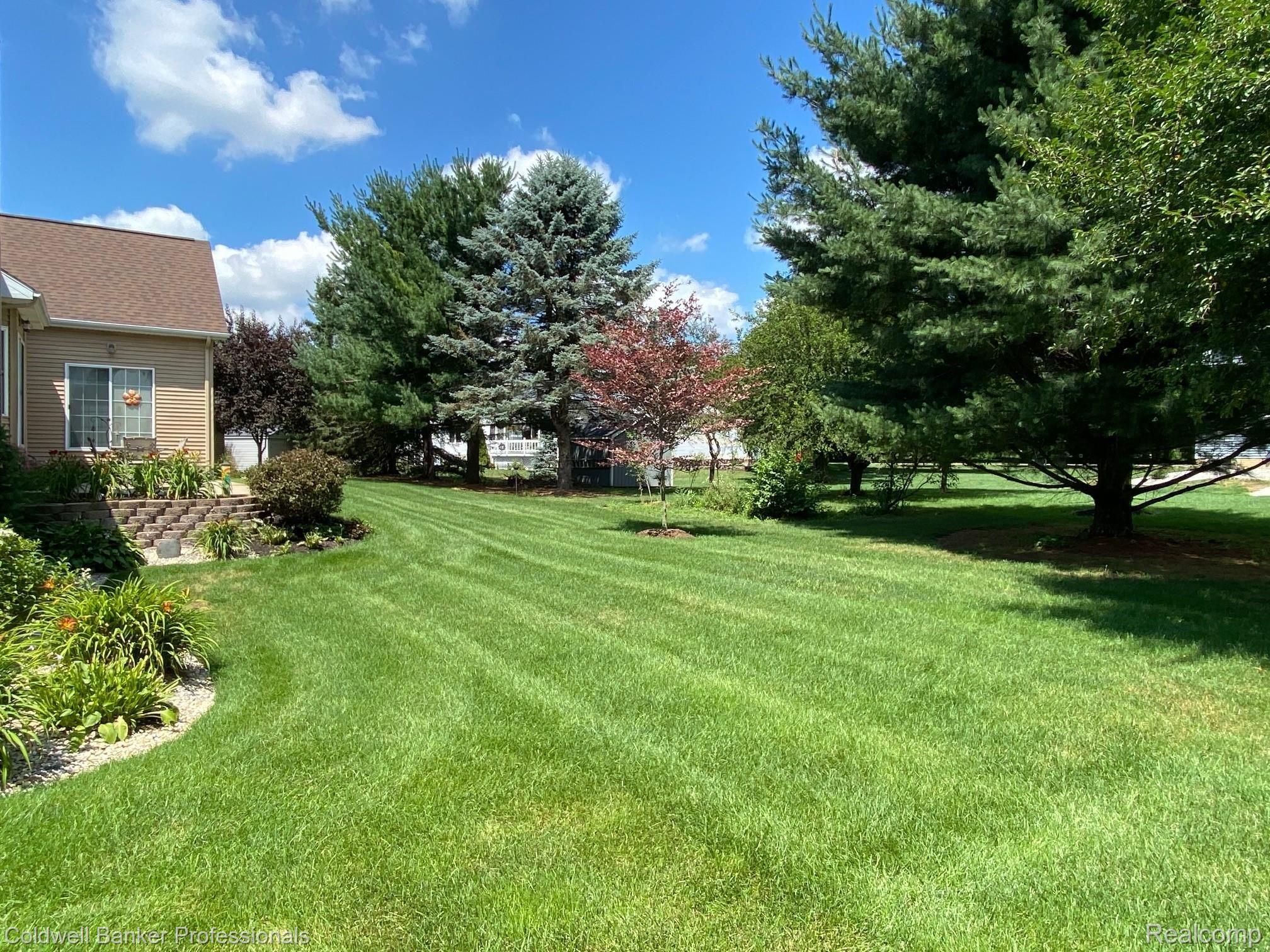 12261 Raelyn Hills Drive Perry, MI 48872 - Photo 28 of 32 27 12261 Yard.jpg