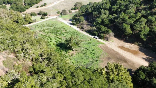 a view of swimming pool with lawn chairs and plants