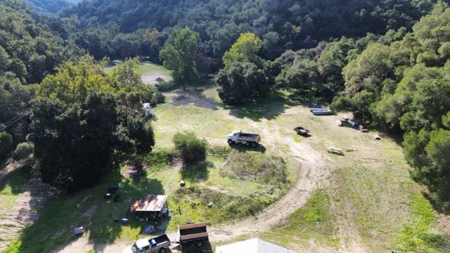 a view of a garden with plants