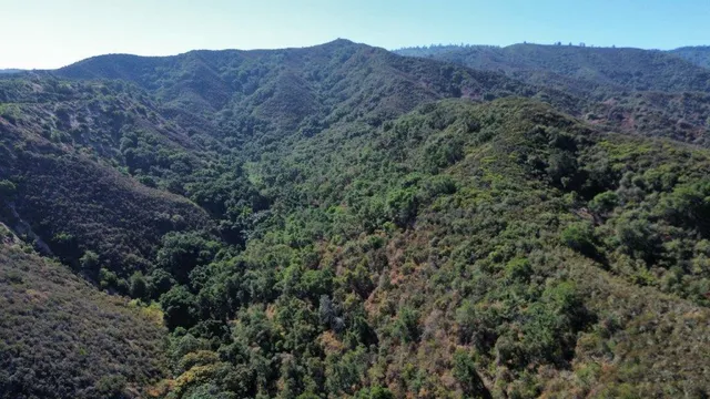 a view of a lush green hillside and a houses