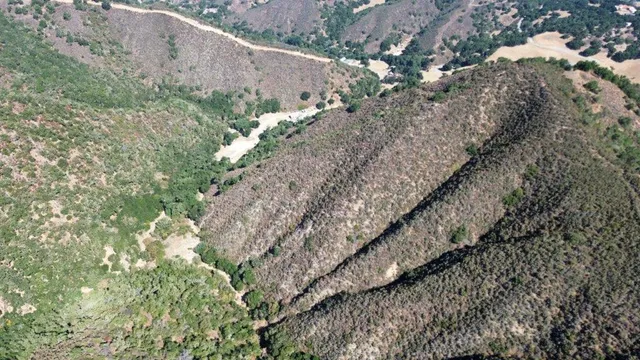 a view of a dry yard with wooden fence