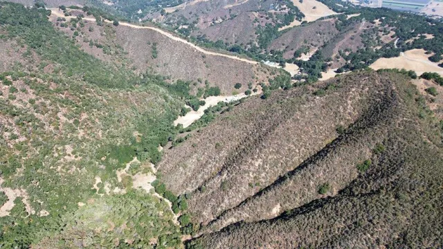 a view of a yard with wooden fence