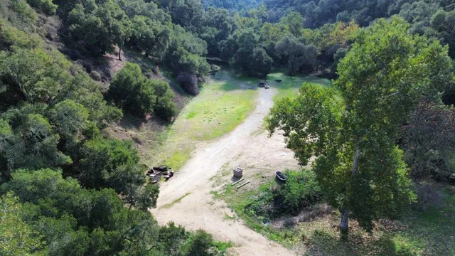a view of a pathway of a yard