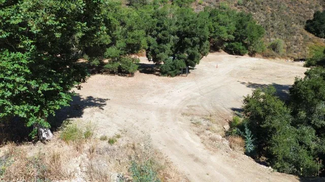 a view of a yard with plants and tree