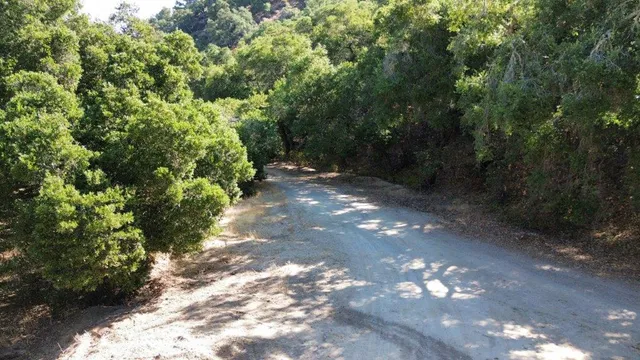 a view of a street with lots of trees