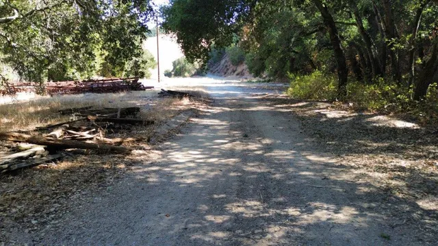 a view of a yard with a tree