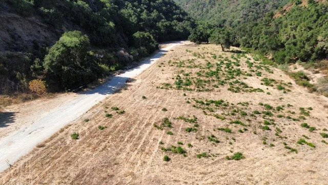 a view of a yard with trees