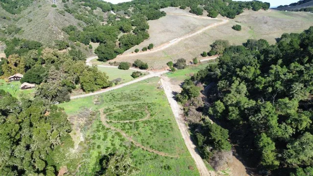 a view of a garden with a house