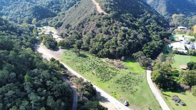a view of a lush green forest with two house