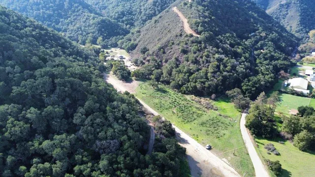 a view of a garden with a flower