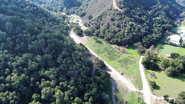 a view of a yard with plants