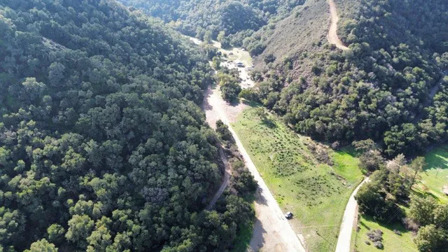 a view of a yard with plants