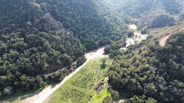 a view of a yard with plants