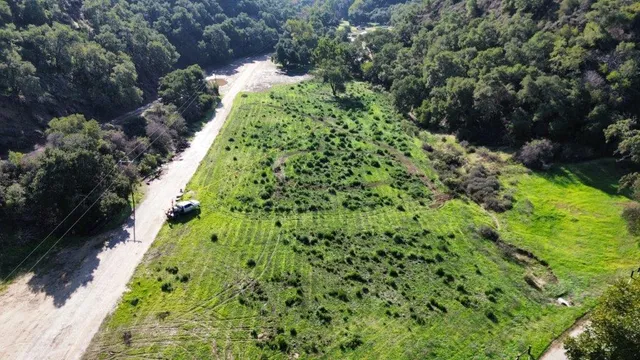 a view of a garden with a flower garden