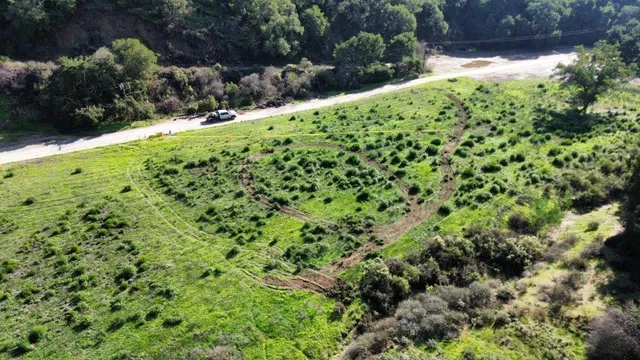 a view of a garden with a pathway