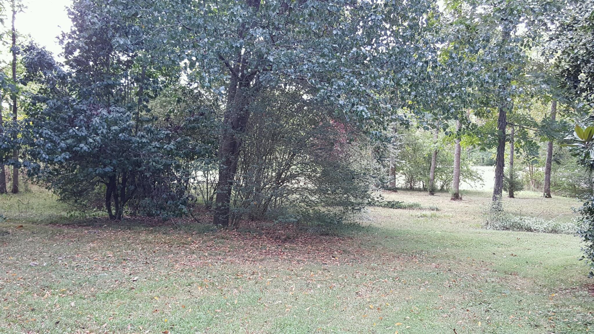 3245 North Lamar Road Mount Juliet, TN 37122 - Photo 7 of 9 Gallery Image 7