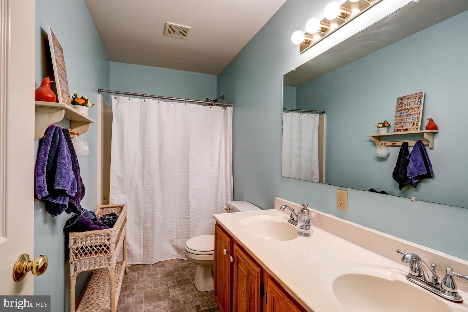 82 Robinhill Drive Lititz, PA 17543 - Photo 25 of 31 Hallway bath has tub shower