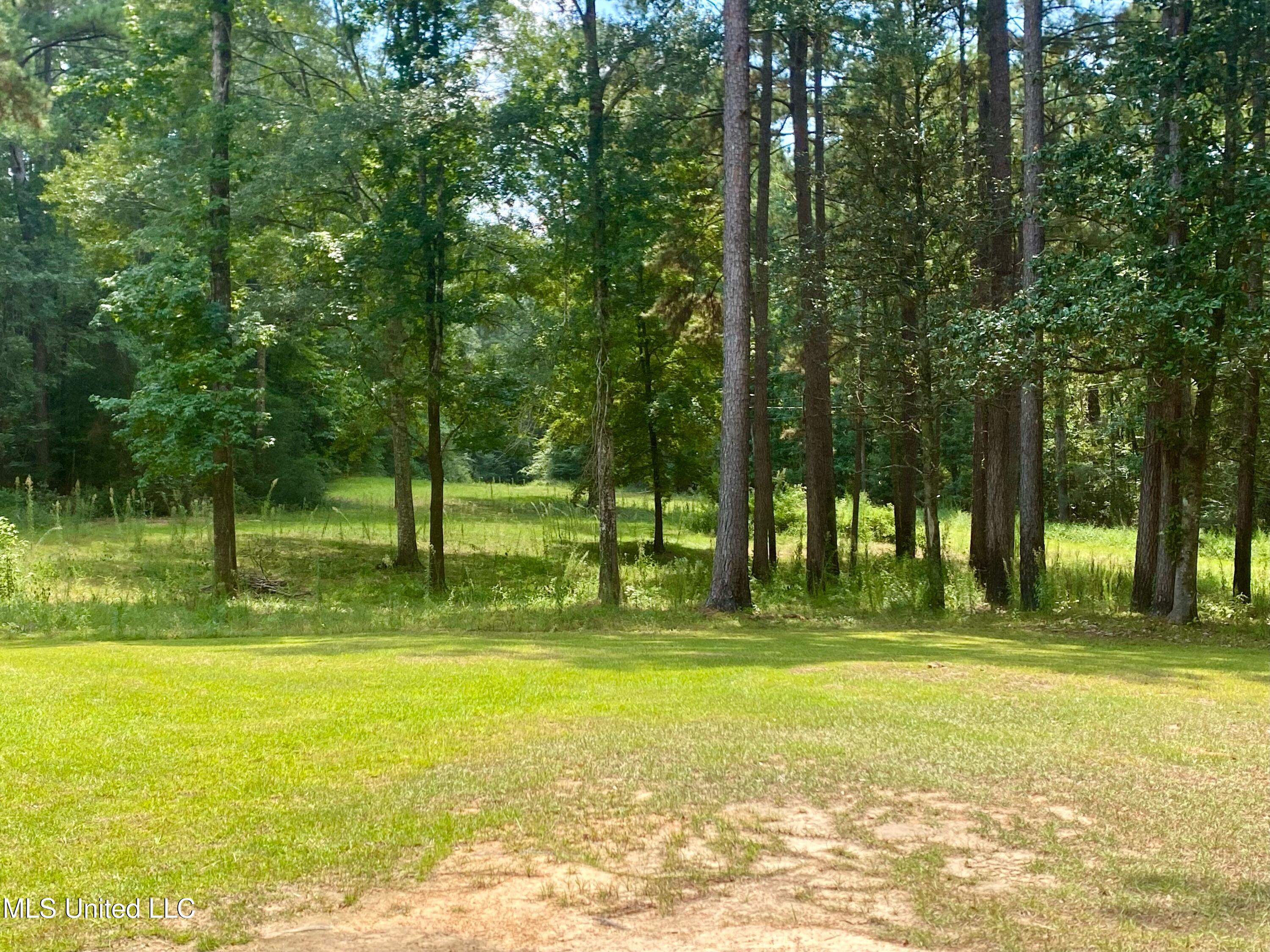 1024 Sabrina Drive Summit, MS 39666 - Photo 3 of 43 IMG_6389