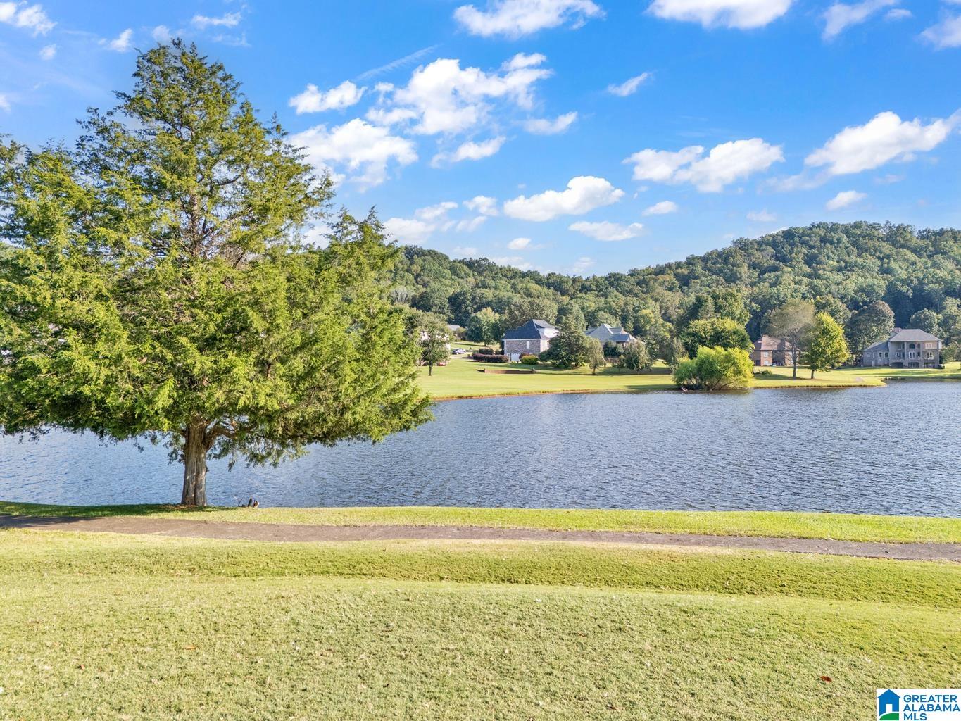 512 MacDonald Lk Road Springville, AL 35146 - Photo 59 of 71