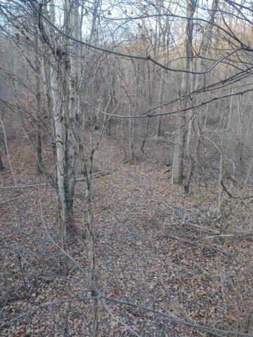 57640 St John Road Quaker City, OH 43773 - Photo 20 of 51 Trail-2