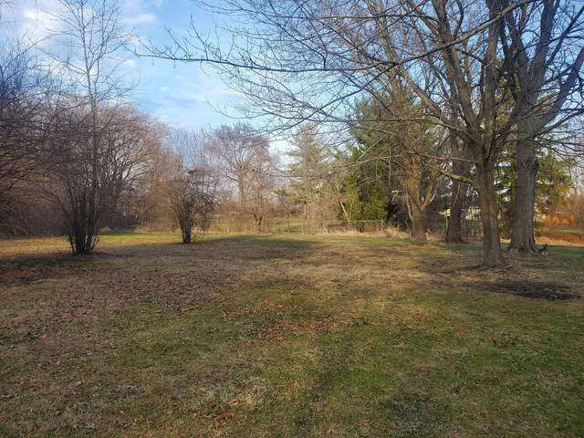 a view of dirt yard with a tree