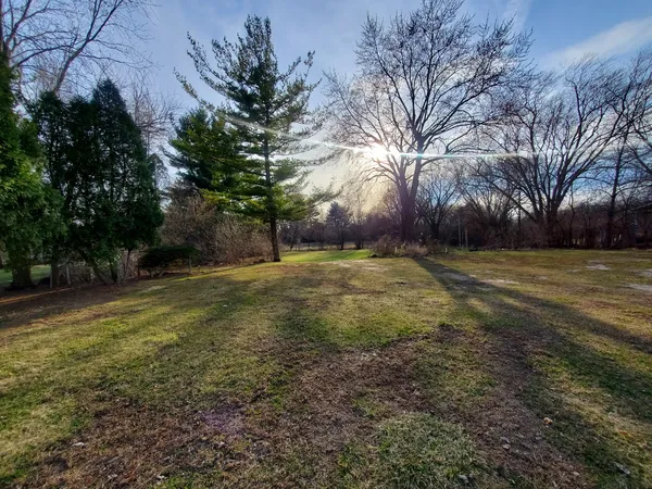 a view of a field with trees