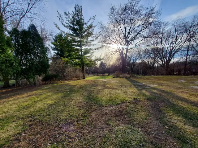 a view of a field with trees