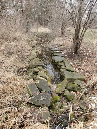 a view of residential houses