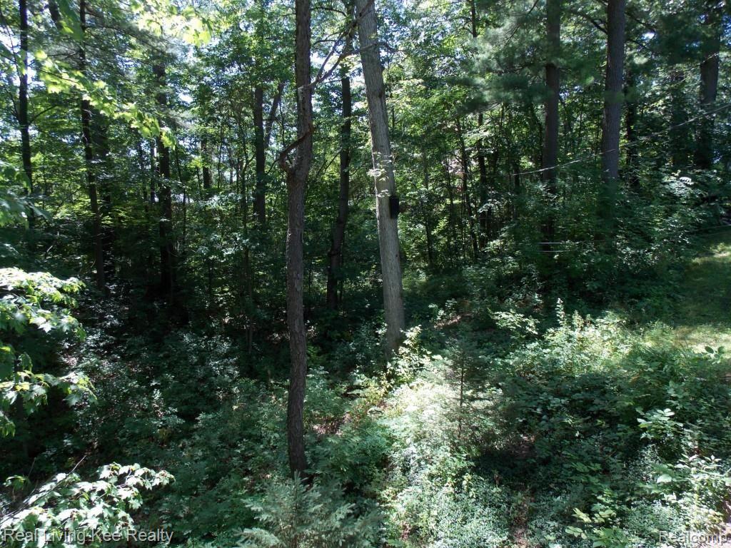 1654 Rochester Road Leonard, MI 48367 - Photo 6 of 45 DSCN2139.jpg