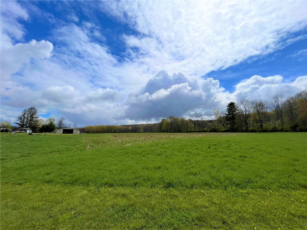 8361 Lockwood Road Caneadea, NY 14717 - Photo 26 of 49