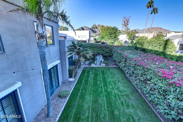 a view of a backyard