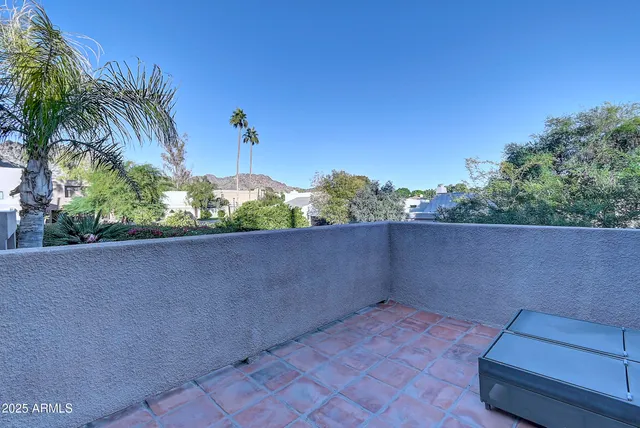 a view of a flower in a garden