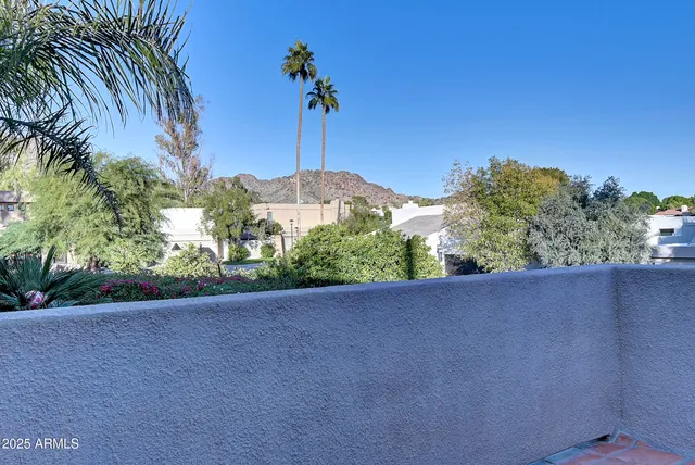 a palm tree sitting in front of a house with potted plants